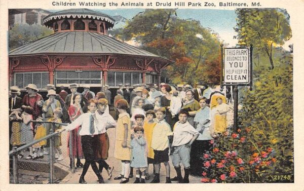 Baltimore Maryland Druid Hill Park Zoo Children Vintage Postcard AA101822