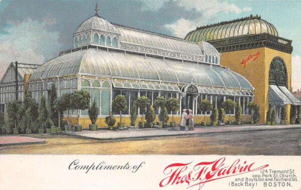 Boston Massachusetts Galvin Florist Shop Nursery Vintage Postcard AA101826