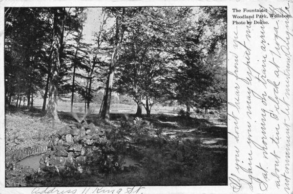 Wellsboro Pennsylvania Woodland Park Fountains Vintage Postcard AA101827