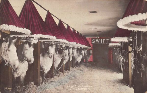 Swift and Company Price Draft Horses Stables Tinted Real Photo PC AA101850