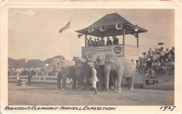 Hornell New York 1927 Expo Robinson's Elephants Real Photo Postcard AA101852