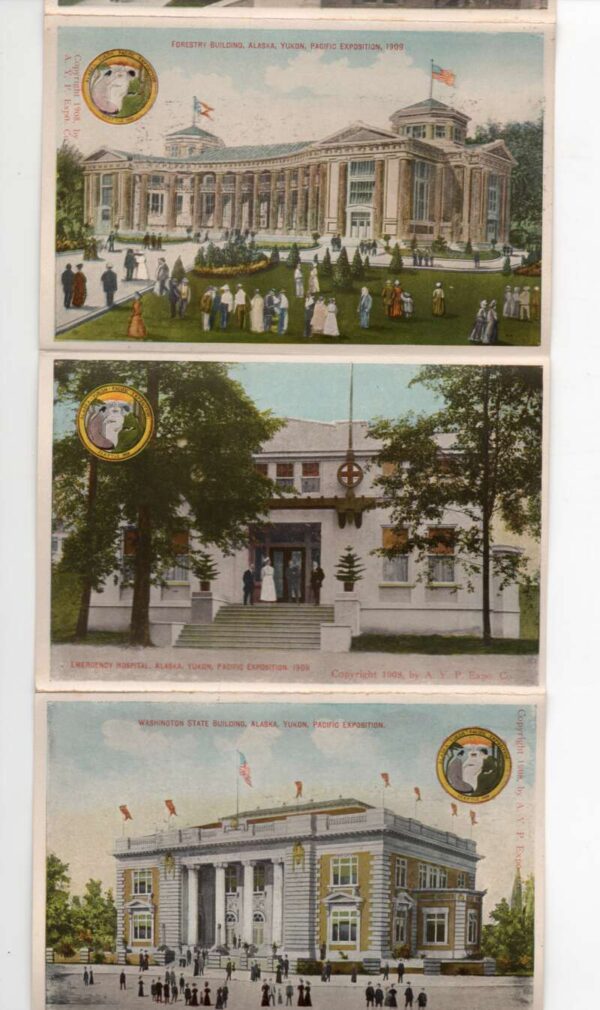 Alaska Yukon Pacific Expo 1909 Washington 24 Views Souvenir Folder AA101894 - Image 5
