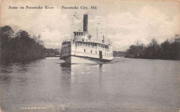 Pocomoke City Maryland Steamer on Pocomoke River Vintage Postcard AA101995