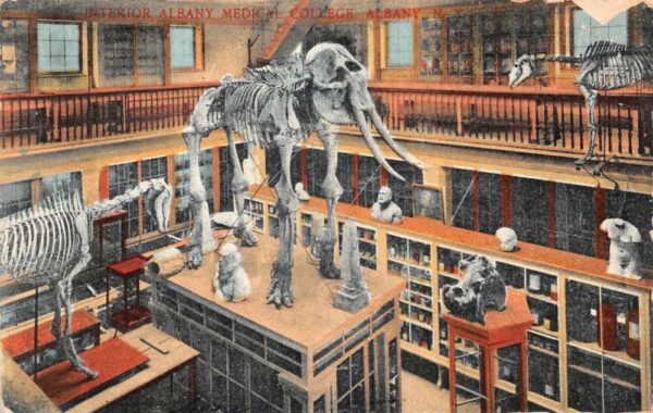 Albany New York Medical College Library Interior Vintage Postcard AA102047