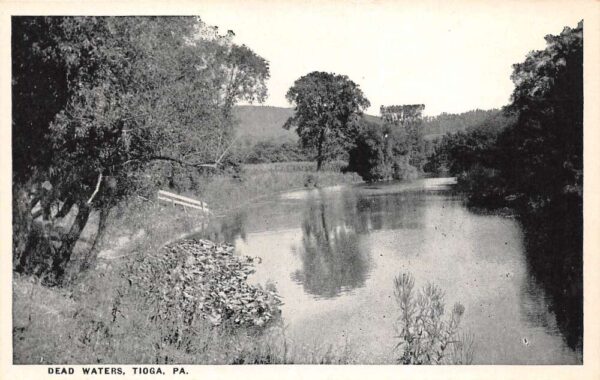 Tioga Pennsylvania Dead Waters, B/W Lithograph, Vintage Postcard U23480