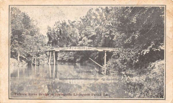 Springville Louisiana Livingston Parish Ticklaw River Bridge Postcard AA102243