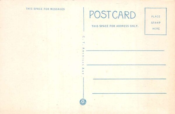 Iola Kansas Pet Milk Co Factory Vintage Postcard AA102266 - Image 2