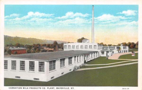 Maysville Kentucky Carnation Milk Products Creamery Vintage Postcard AA102271