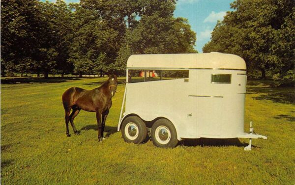 Moultrie Georgia Select Sales Exono Master Horse Trailer Ad Postcard AA102307