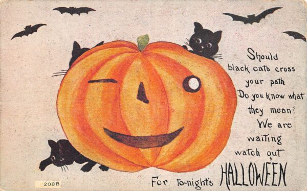 F.A. Owen, Black Cats & Bats Hallowe'en, Jack O' Lantern, Postcard U23680