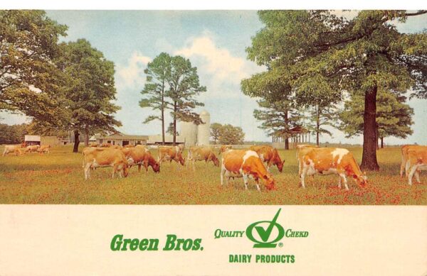 Bastrop Louisiana Green Bros Guernsey Dairy Farm Cows Vintage Postcard AA102499