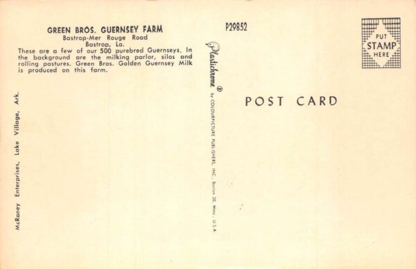 Bastrop Louisiana Green Bros Guernsey Dairy Farm Cows Vintage Postcard AA102499 - Image 2