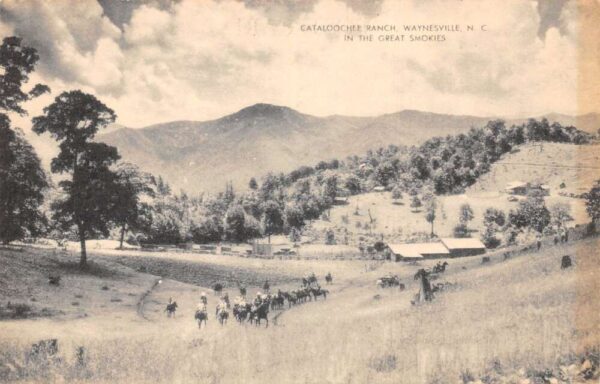 Waynesville North Carolina Cataloochee Ranch Scenic View Postcard AA102503