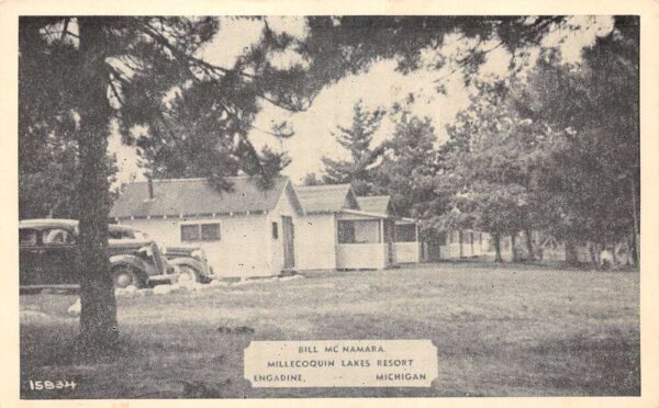 Engadine Michigan Millecoquin Lakes Resort Vintage Postcard AA102511