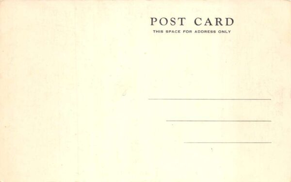 Engadine Michigan Millecoquin Lakes Resort Vintage Postcard AA102511 - Image 2