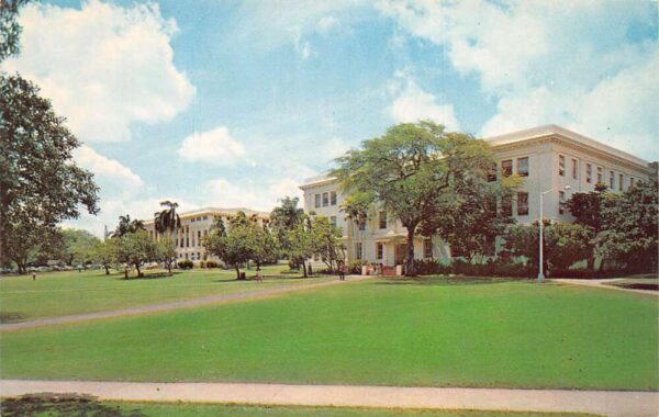 Honolulu Hawaii University Crawford Hall and George Hall Postcard AA86180