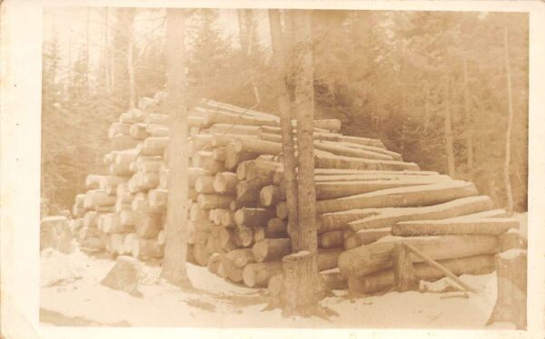 Carleton Michigan Large Pile of Cut Logs Lumber Real Photo Postcard AA86192