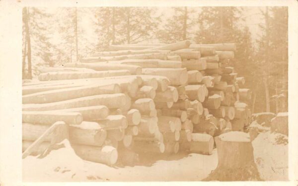 Carleton Michigan Pile of Logs Lumber Scene Real Photo Vintage Postcard AA86193