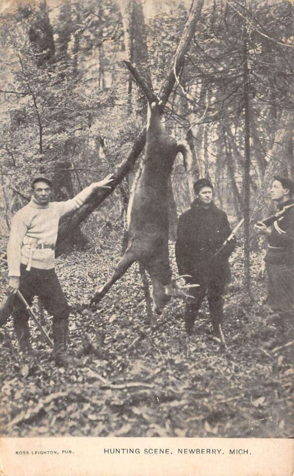 Newberry Michigan Hunting Scene Hunters with Deer Vintage Postcard AA86201