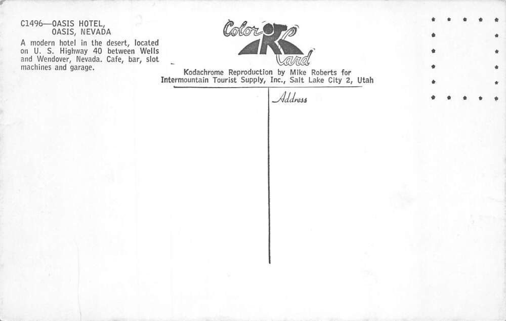 Oasis Nevada Oasis Hotel Roadside America Vintage Postcard AA86213 - Image 2