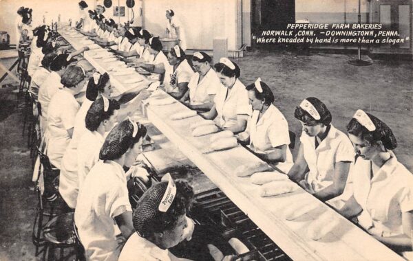 Norwalk Connecticut Pepperidge Farm Bakeries, Vintage Postcard U20063