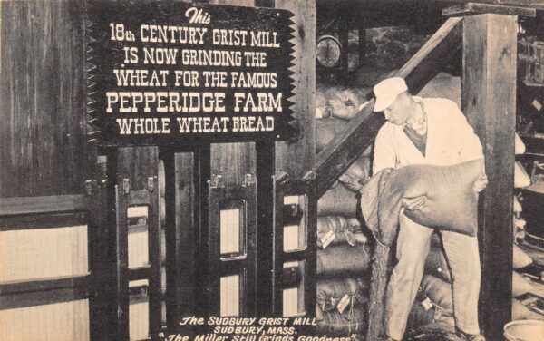 Sudbury Massachusetts The Sudbury Grist Mill, B/W Photo Print, Vintage PC U20064