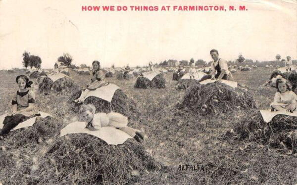 Farmington New Mexico People on Alfalfa Farm Vintage Postcard AA86315