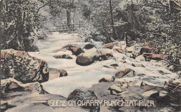 Quarry Run West Virginia Cheat River Scenic View Vintage Postcard AA86335