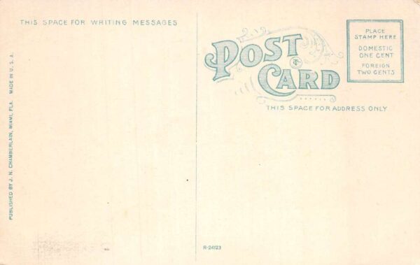 Miami Florida Royal Palm Hotel Palm Avenue Vintage Postcard AA86492 - Image 2
