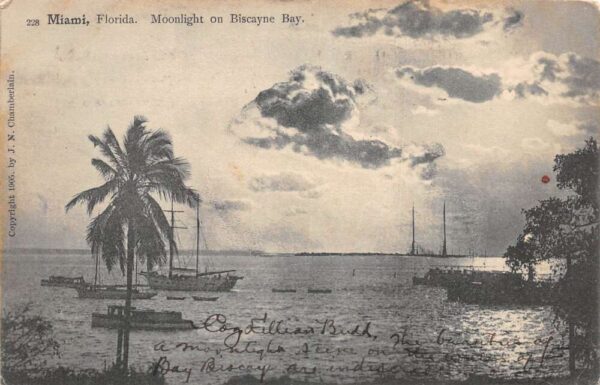 Miami Florida Moonlight on Biscayne Bay Ships Scenic View Postcard AA86504