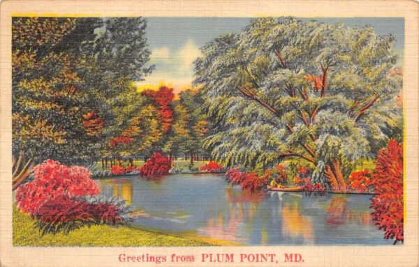Plum Point Maryland Greetings Canoeing Scenic View Linen Postcard AA86506