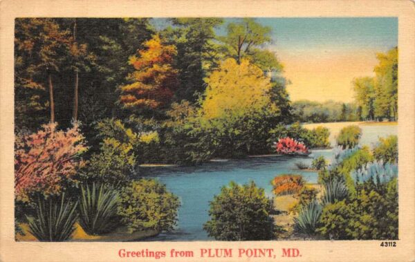 Plum Point Maryland Greetings Scenic View Vintage Postcard AA86508