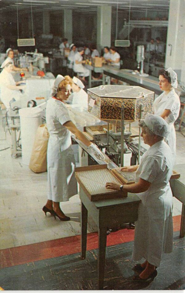 Pearl River New York Lederle Laboratories Pharmaceutical Factory PC AA86514