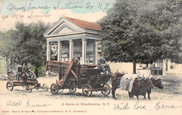 Woodbourne New York Ox Cart, Town Scene, Undivided Back, Vintage PC U23910
