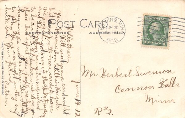 Red Wing Minnesota A Sunday Crowd On The Levee Park, Vintage Postcard U23931 - Image 2