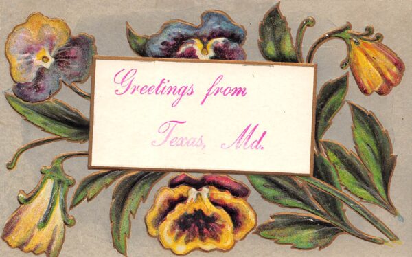 Texas Maryland "Greetings From" With Embossed Flowers, Vintage Postcard U24090