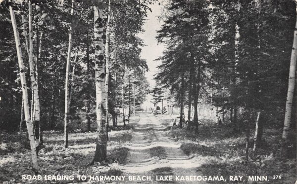 Ray Minnesota Road Leading To Harmony Beach, Lake Kabetogama, Vintage PC U24102