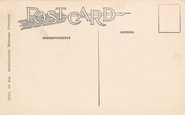 Savage Minnesota Romance Scene, Flag From Savage, Vintage Postcard U24107 - Image 2