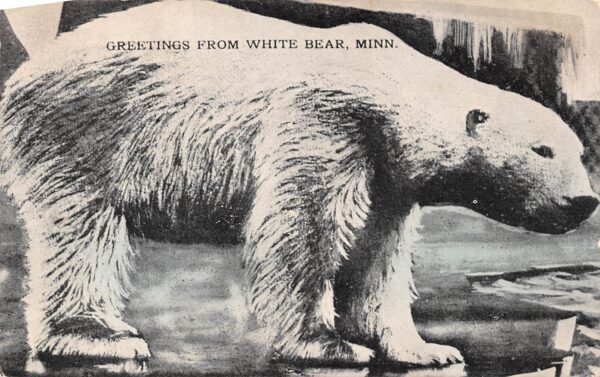 White Bear Minnesota Greetings From, With Polar Bear, Vintage Postcard U24108