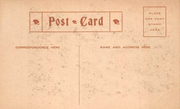 Washington DC Bliss Excursionists Sightseeing Bus Vintage Postcard AA102790 - Image 2