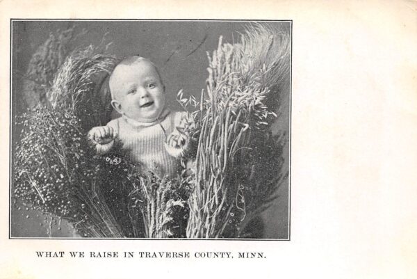 Traverse County Minnesota Baby With Wheat Crop, B/W Lithograph, PC U24211