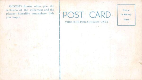 Spider Lake Michigan Olson's Resort Aerial View Map Vintage Postcard AA102833 - Image 2