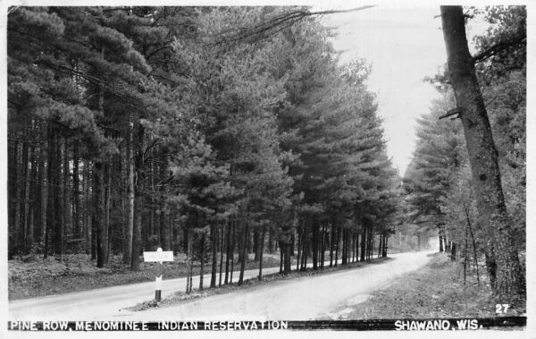 Shawano Wisconsin Pine Row, Menominee Indian Reservation, Tinted RPPC U24256