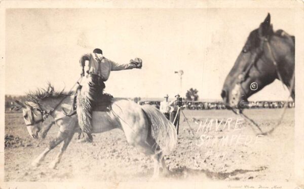Havre Montana Stampede Rodeo Cowboy Brainerd Real Photo Postcard AA102900