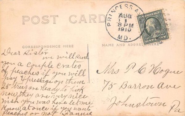 Princess Anne Maryland Boy with Dog Real Photo Vintage Postcard AA102916 - Image 2