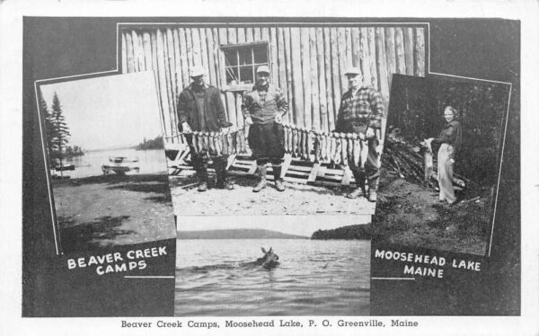 Moosehead Lake Maine Beaver Creek Camps Fishing Vintage Postcard AA102933