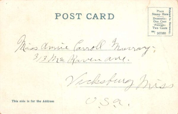 Manila Philippines Carabao Water Buffalo Vintage Postcard AA102947 - Image 2