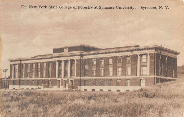 Syracuse New York College of Forestry Vintage Postcard AA103012