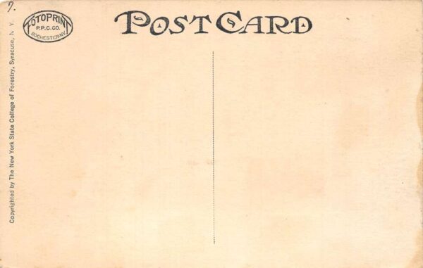 Syracuse New York College of Forestry Vintage Postcard AA103012 - Image 2
