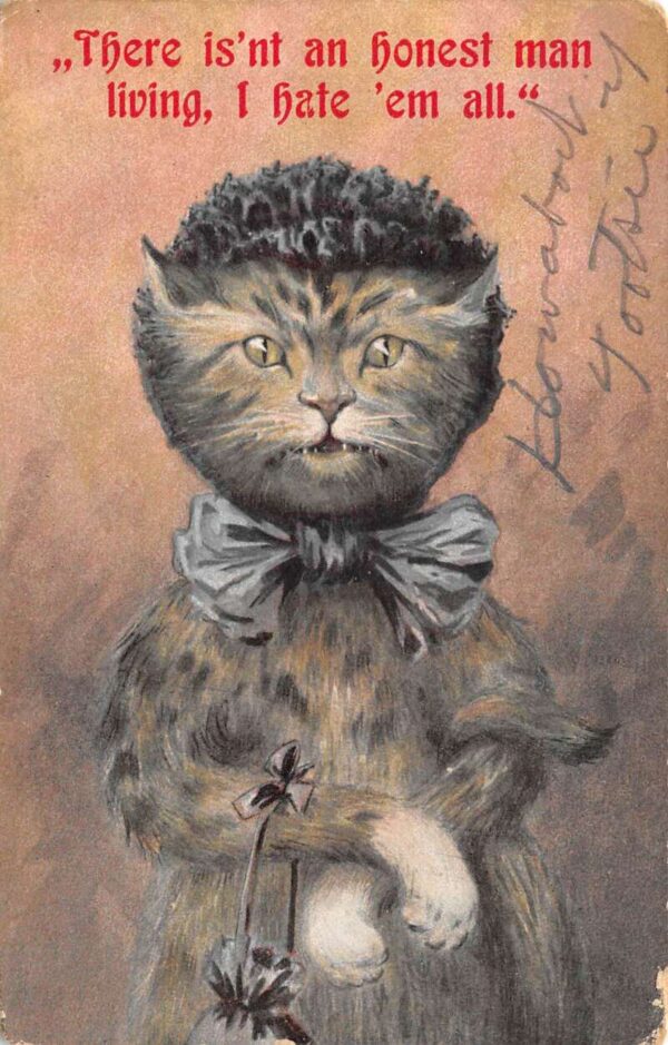 Dressed Cat with Purse and Bonnet "There isn't an honest man" Humor PC AA103013